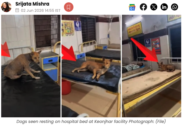 kapsology's tweet photo. A hospital in Orissa!

The supreme court has strictly ordered removal of stray dogs but the authorities are sleeping

https://t.co/pIS2n1mjaX https://t.co/BJro6tyCgP