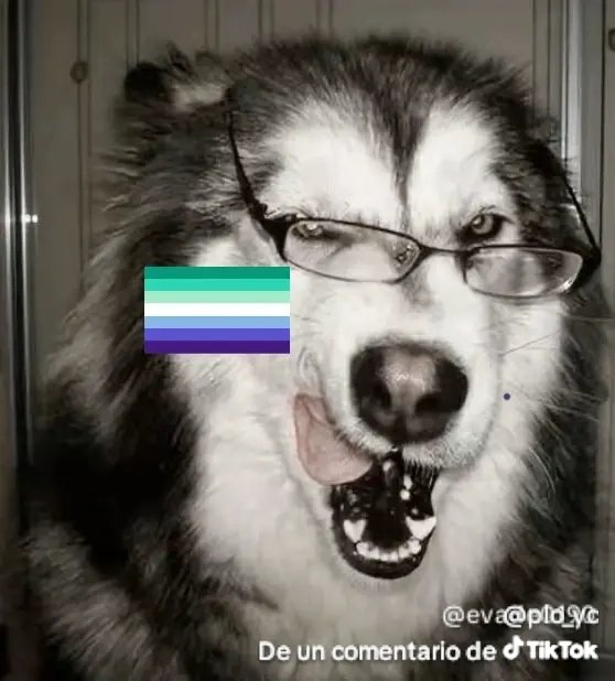 SharkiTheblaze's tweet photo. @Celer_6u6 Feliz mes jochis celer https://t.co/7kNWtgBNal