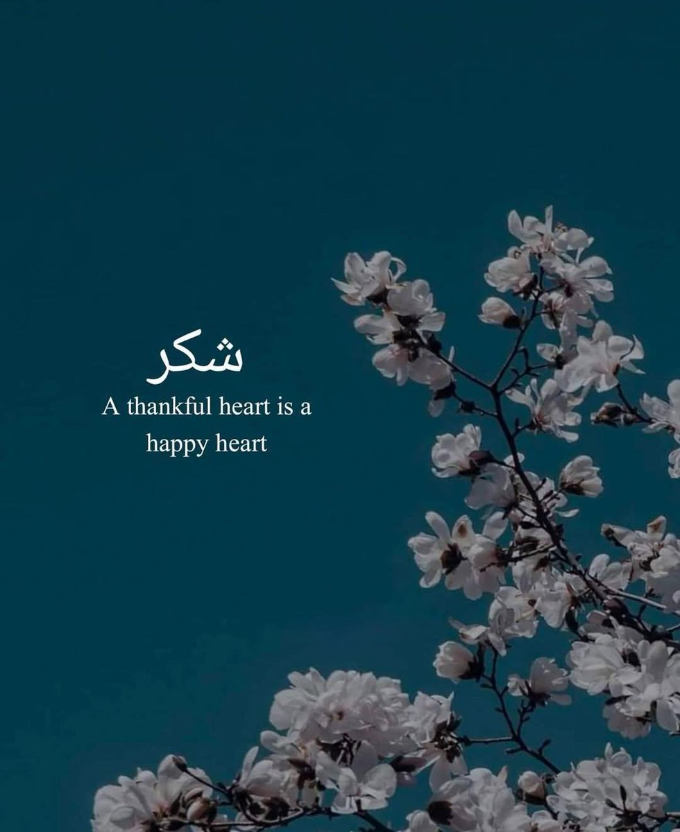256RoyalBae's tweet photo. If your reading this,it's a sign to smile today.
Always be thankful for life.
A blessed Wednesday to y'all🙏🫶 https://t.co/d8QKjxlYzh