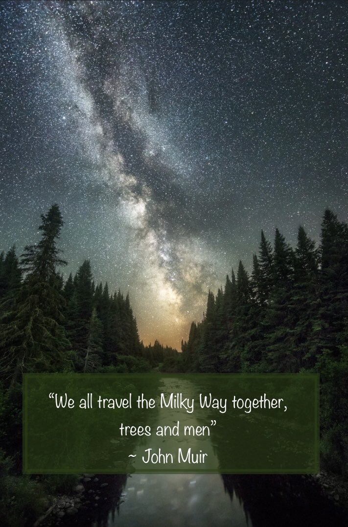 everfidelis's tweet photo. @BrianRoemmele I love this so much. Our spaceship Earth… we travel together. ✨💖💫✨ 

The visuals are stunning. Absolutely breathtaking. https://t.co/RVx6pOUlUR
