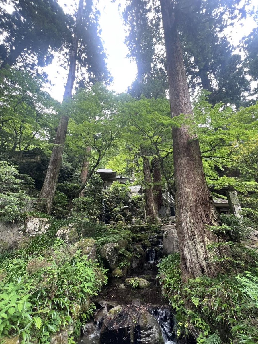 randengo's tweet photo. とにかく行動💪
考えてばかりでは、状況、景色は変わらない。
完璧を目指すよりもまず一歩。

動けば、迷いが整理される。
止まれば、悩みが増える。☝️

行動が思考を磨き、行動が未来を創ると信じて一つずつ丁寧に行動していきたいですね✨ https://t.co/8dohyICZ22