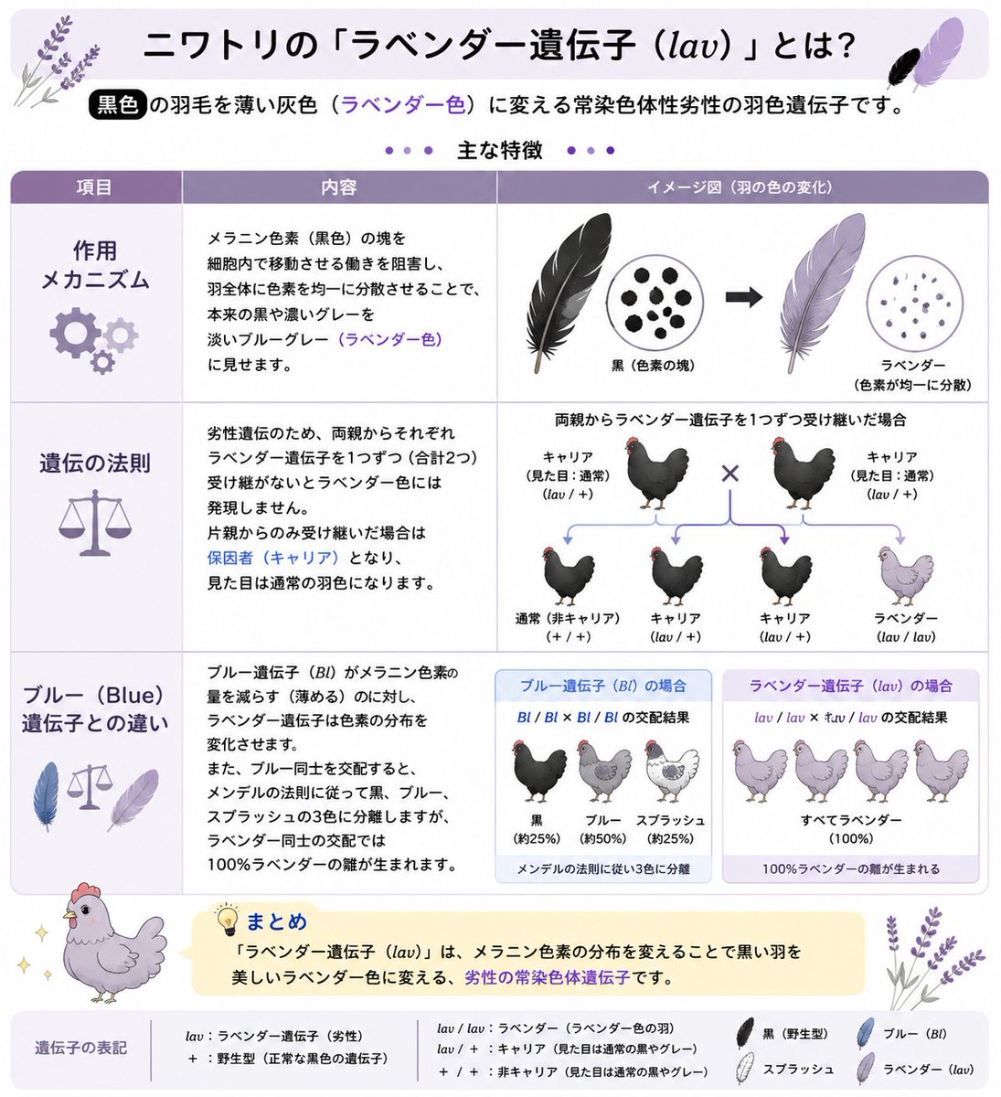 ナンシー(@Nancy65094154)とラベンダーとブルーの話になって、出できた