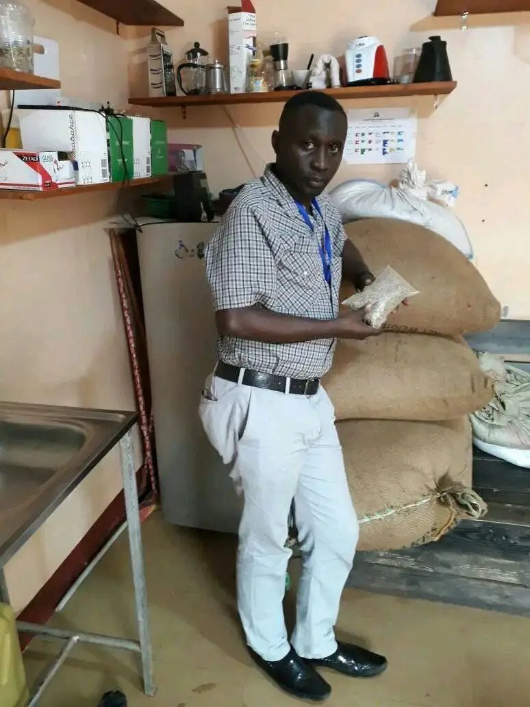 aydahglobal's tweet photo. Green  coffee beans wugar . Call  📞 0768 244196  Aydah Coffee  Enterprise.  @GKatabazi https://t.co/6GjyRhkA3E