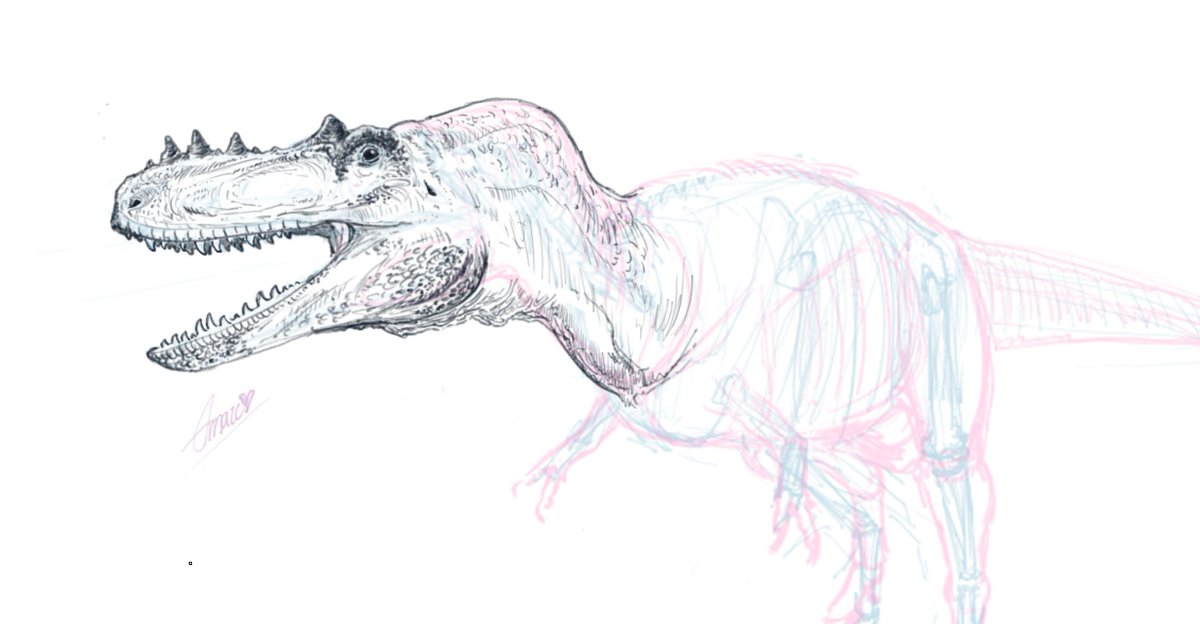 Sus_800's tweet photo. Alioramus remotus
#Paleoart #Dinosaurios #Draw
No es de mis dibujos favoritos, asi que cualquier consejo o critica constructiva es bienvenida. https://t.co/tgkFJK2F0d