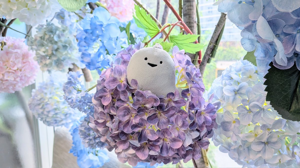 あじさいから生まれた あじさいばすぴす💠( ˙▽˙ )3