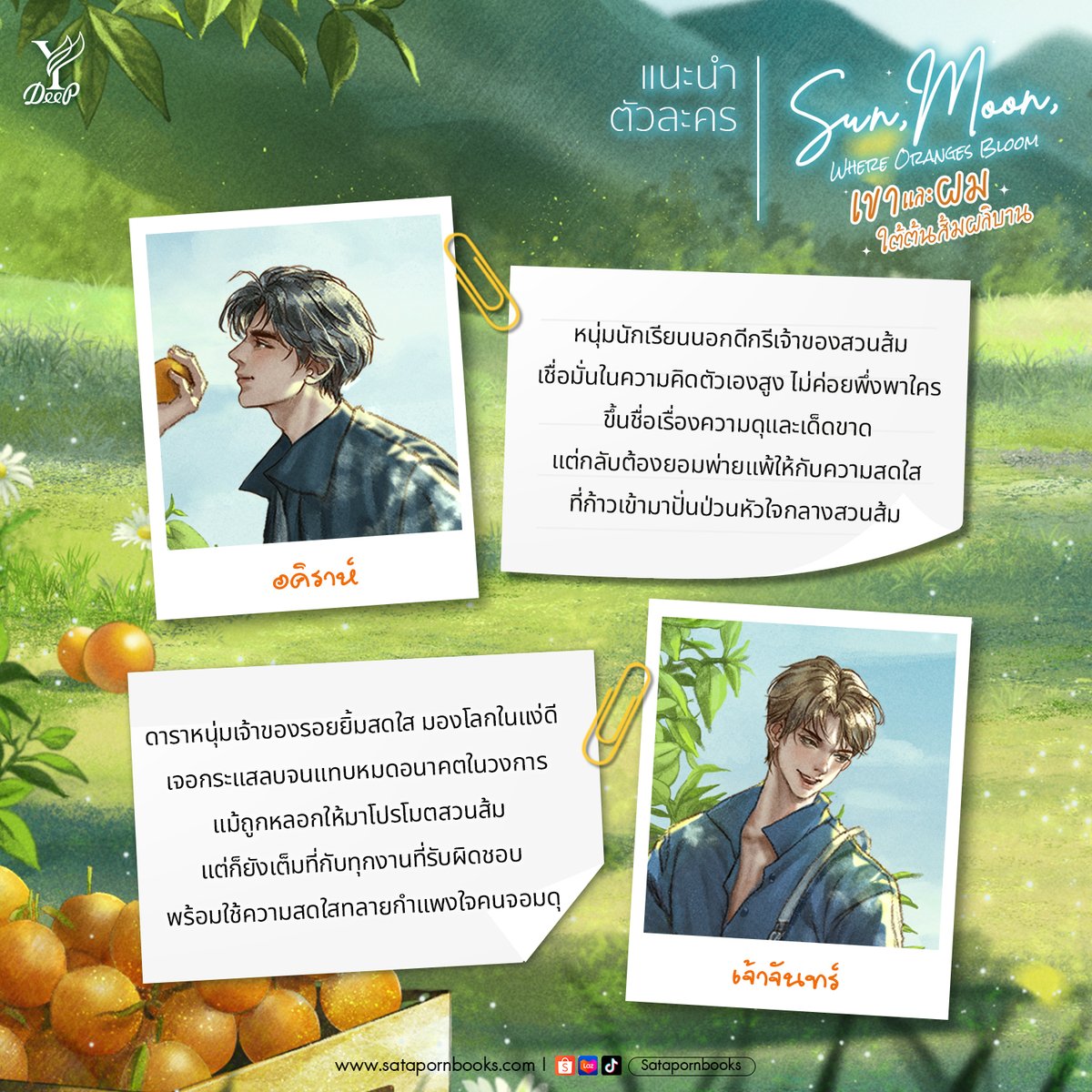 DeepPublishing's tweet photo. วันนี้พี่ดีพพาทุกคนมาทำความรู้จักตัวละครหลักจาก #เขาและผมใต้ต้นส้มผลิบาน กันค่ะ 😊

🍊 อคิราห์ : หนุ่มนักเรียนนอกดีกรีเจ้าของสวนส้ม เชื่อมั่นในความคิดตัวเองสูง ไม่ค่อยพึ่งพาใคร ขึ้นชื่อเรื่องความดุและเด็ดขาด แต่กลับต้องยอมพ่ายแพ้ให้กับความสดใสที่ก้าวเข้ามาปั่นป่วนหัวใจกลางสวนส้ม

🌙 เจ้าจันทร์ : ดาราหนุ่มเจ้าของรอยยิ้มสดใส มองโลกในแง่ดี เจอกระแสลบจนแทบหมดอนาคตในวงการ แม้ถูกหลอกให้มาโปรโมตสวนส้ม แต่ก็ยังเต็มที่กับทุกงานที่รับผิดชอบ พร้อมใช้ความสดใสทลายกำแพงหัวใจคนจอมดุ

เรื่อง : Sun, Moon, Where Oranges Bloom เขาและผม ใต้ต้นส้มผลิบาน
ผู้เขียน : zearet17
✅ มีจำหน่ายแบบรูปเล่มและอีบุ๊ก
✅ จำนวน 376 หน้า | ราคา 340 บาท

✨ วางจำหน่ายหนังสือวันที่ 5 มิถุนายน 2569
เริ่มจัดส่งวันที่ 6 มิถุนายน 2569 เป็นต้นไป

ช้อปหนังสือได้ที่ :
▪️Website https://t.co/dMnQoi2e3a
▪️Shopee : https://t.co/sXgUZ6TZBq
▪️ช่องทางอื่นๆ : https://t.co/Q3CmMqHCLQ