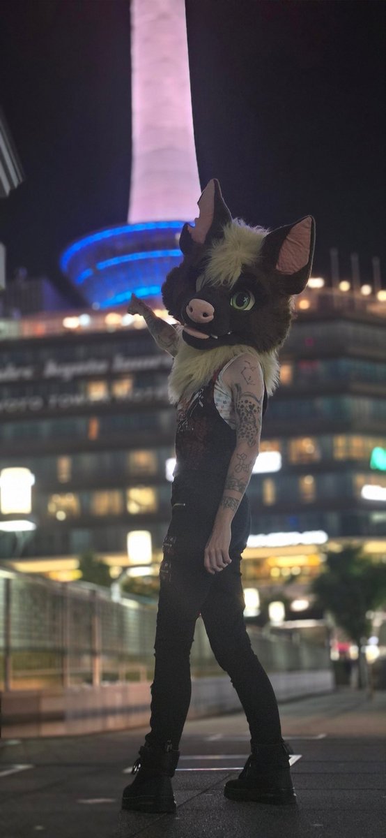 TheGooseDragon's tweet photo. Hyena loose in Kyoto

📸: @zanethefox https://t.co/HazVQSEz7y