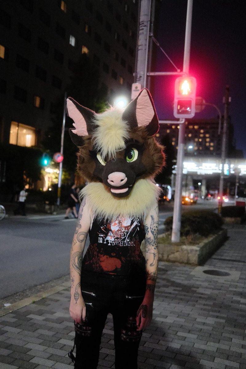 TheGooseDragon's tweet photo. Hyena loose in Kyoto

📸: @zanethefox https://t.co/HazVQSEz7y