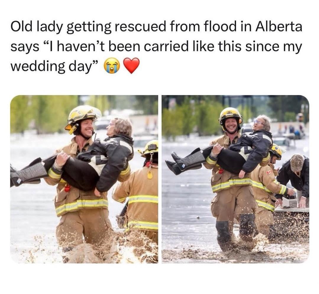 WholesomeMeme's tweet photo. https://t.co/2LmsJOs6Dm