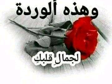 SBech56071's tweet photo. @soso135293902 https://t.co/dDN2F4AI2O