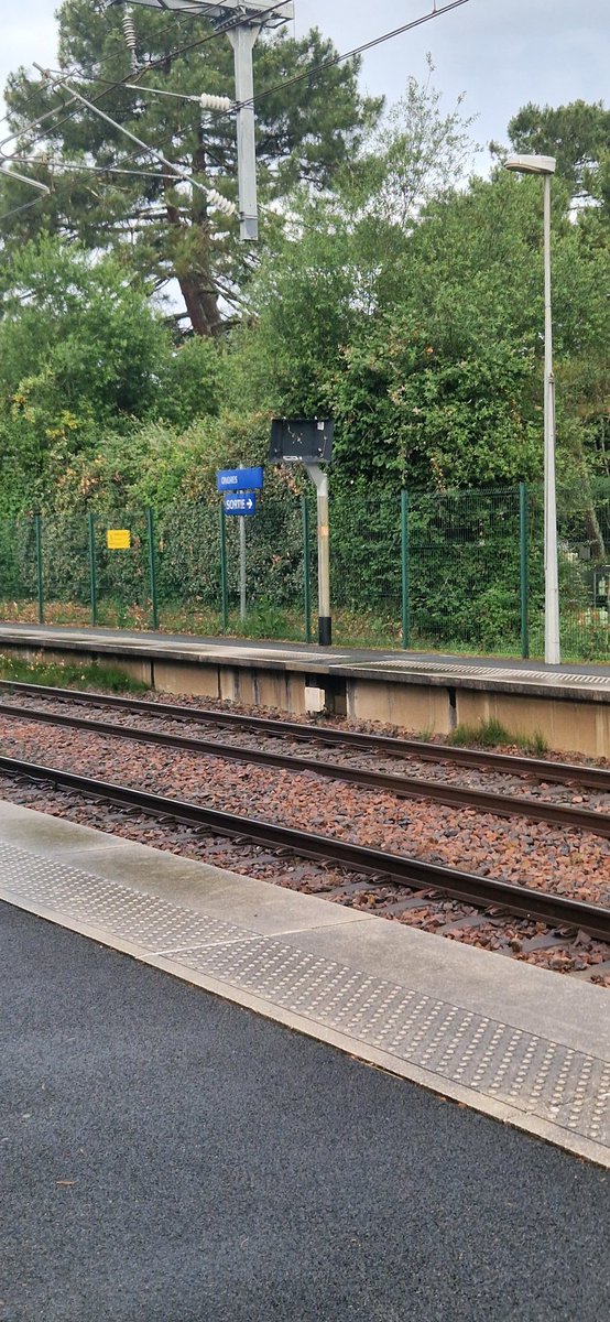 laetilbx's tweet photo. Bonjour @TERNouvelleAQ @SNCFConnect @GroupeSNCF depuis octobre 2025 le panneau d'affichage en gare d'Ondres est hors service. Toujours pas réparé, maintes fois signalé. Est ce qu'un de vos services va enfin faire le nécessaire ? Merci ! https://t.co/C1KVYY1PIK