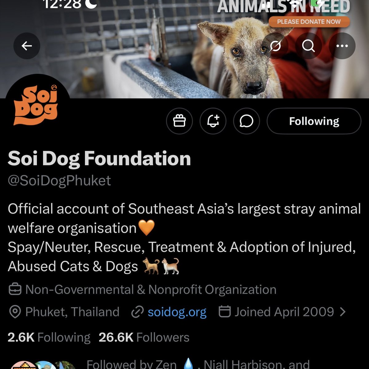 solanaroyalty's tweet photo. This is where I’ve been walking shelter dogs lately. It’s the biggest shelter in Southeast Asia. 

Not many people come to Phuket in the rainy season, so they really need volunteers at the moment. https://t.co/rTQjppghkS
