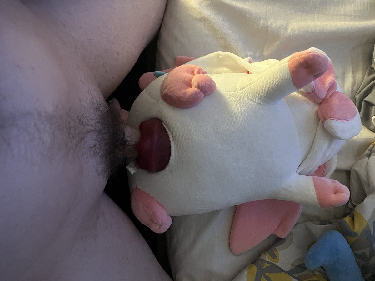 PlushiePumper's tweet photo. Introducing the newest plush to the harem
Sylveon~~ https://t.co/jVcAhyEdMO