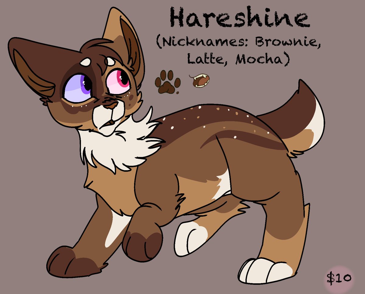 duotail's tweet photo. This guy is still for sale! Dm or comment to claim! 

#warriorcats https://t.co/IkQXL8S9Ao