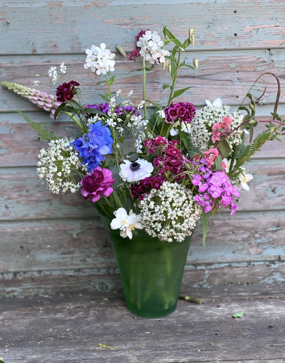 GardenBrocante's tweet photo. Good morning. Well it’s been a lovely couple of days, it felt like a holiday to do some different things with family ❤️
Anyway back to normal today, I need to try and get more planting done! 
Have a good day 💐❤️💐 https://t.co/QhRcUpopSx