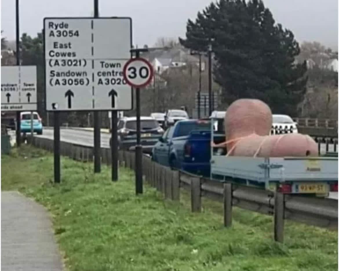 seriouslyFFS's tweet photo. Didn’t know your mum lived on the Isle of Wight now @Felon82 https://t.co/mUVh7yCADA