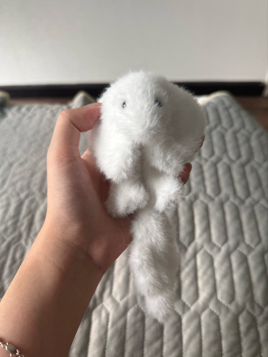 Skyeruu668's tweet photo. Pocket sized mold baby 😭 https://t.co/xviby5NDcq