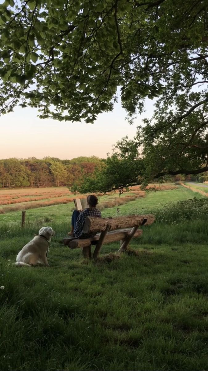 cabinvisuals's tweet photo. peaceful life https://t.co/CW6fuVaxpS