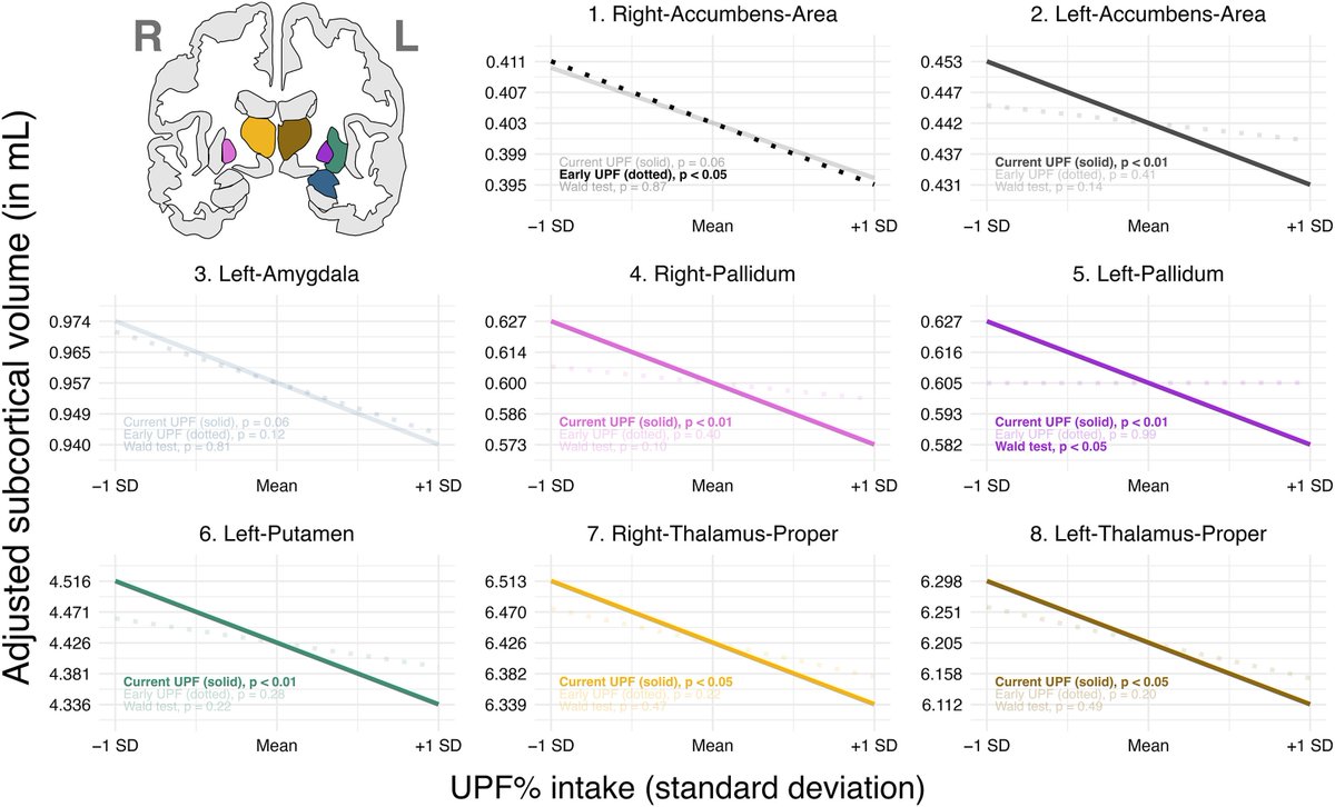 heniek_htw's tweet photo. Cumulative ultra-processed food intake from 6mo to 6y – NO association with cognitive performance at 2y or 6y. BUT: higher UPF → smaller subcortical volumes at 6y (accumbens, amygdala, pallidum, putamen, thalamus; FDR p<0.05). Each 10% higher UPF → 1.9% smaller volume. https://t.co/WUvKMgTuYl
