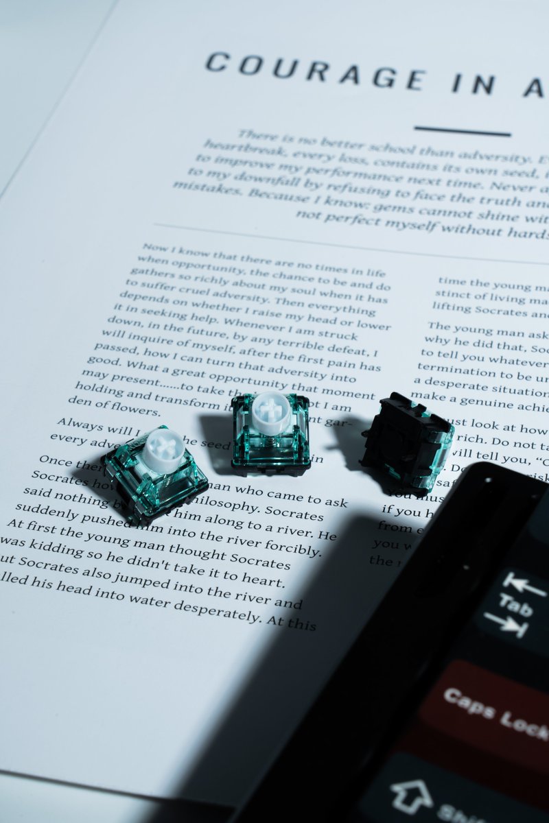 GATERONOfficial's tweet photo. GATERON Magnetic Jade · Attraction HE Switch — Between light and shadow, magnetic balance meets effortless rebound.

🛒: https://t.co/kVGfzDwCO1 https://t.co/SCpiFFcVTG