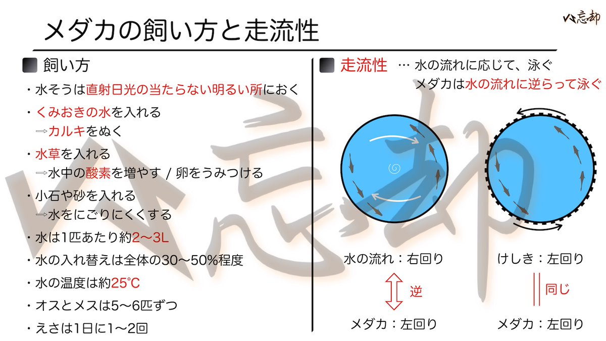 vsbo_anki's tweet photo. <その他⑥>気団と四季 から１問

夕焼けが西の空に見られたとき、次の日の天気はどうなると言われていますか。

<選択肢>
①晴れる
②雨が降る

▼▼解答・解説動画▼
明日の投稿でチェック！

▼更なる挑戦はこちら▼
https://t.co/0jcsy9JsLZ

解説画像は昨日の問題だよ！😊
#中学受験　#暗記　#理科 https://t.co/vTBT2w8Msc