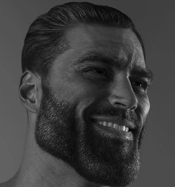Sidekickjason's tweet photo. Chadward https://t.co/aIgnLuc5fu