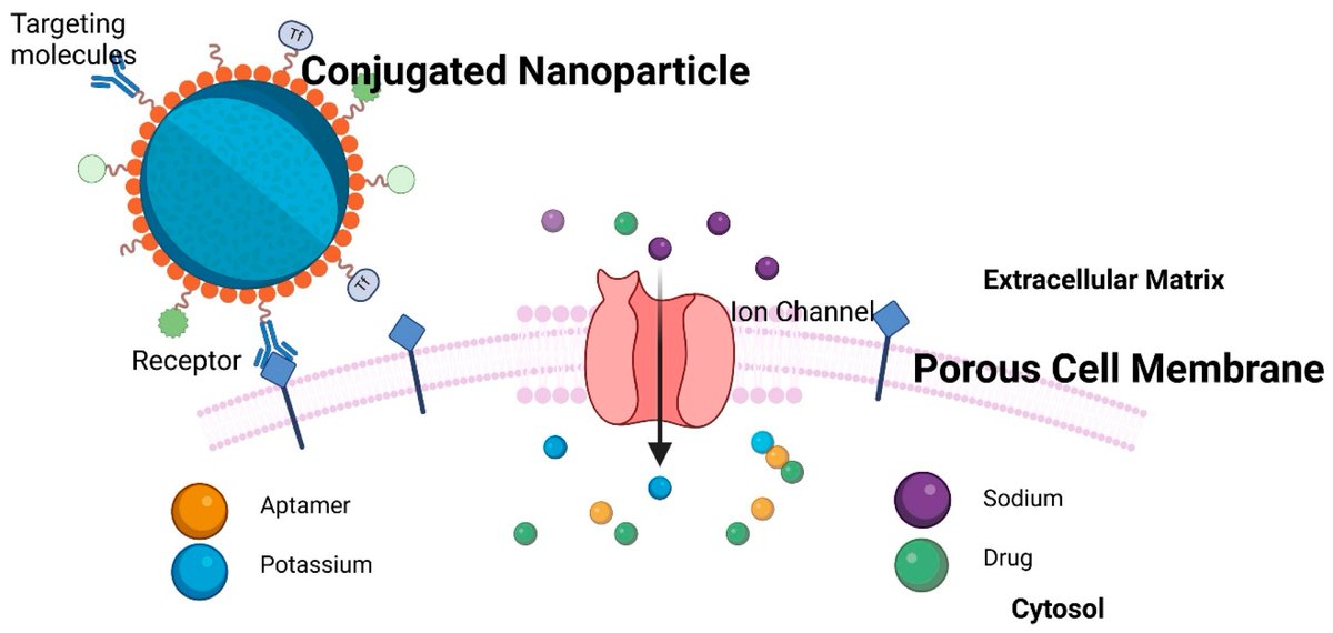 Cancers_MDPI's tweet photo. 🔖Today we share the Review "Advancing Cancer Drug Delivery with #Nanoparticles: Challenges and Prospects in Mathematical Modeling for In Vivo and In Vitro Systems"
👥By Tozivepi Aaron Munyayi and Anine Crous from @go2uj 
📎Link: https://t.co/iaQlUcr4VR
#cancer #invitro https://t.co/Y8eKHhLz1h