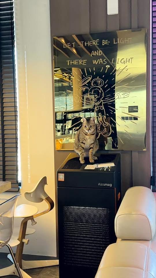 John_5777_'s tweet photo. 【日本欧亜科技株式会社｜業務用空気清浄機】
ペットホテル・トリミングサロン・ペットカフ���の空気環境対策に。

ホコリやペットの毛、気になる臭いを軽減し、快適な空間づくりをサポートします。

無料体験受付中！
📞 TEL：072-965-8077
#ペットホテル #トリミングサロン #ペットカフェ #消臭対策 https://t.co/l1azYphLy3
