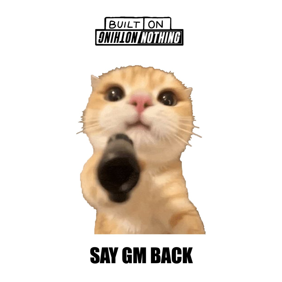 TradeToTrap's tweet photo. Gm mfs it's Wednesday https://t.co/dSkmHyiDtG