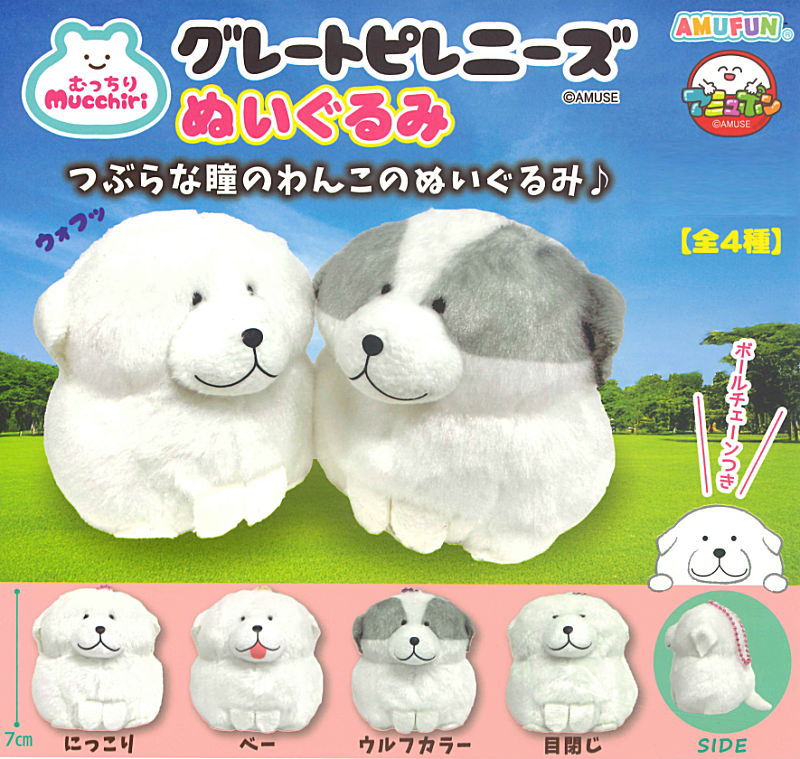 ✨新商品案内 2026年6月3日(水)✨／ ☑️むっちりグレートピレニーズ