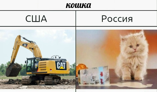 _sebir_'s tweet photo. доброе утро всем хорошим людям, а пидорасам всяким говна на лопате https://t.co/LWIfN8pHiu