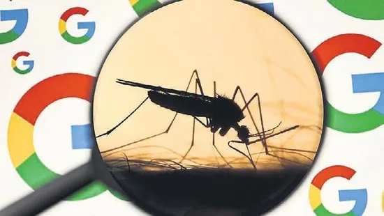 drahmetrasim's tweet photo. Sabah gazetesinde Mevlüt Tezel' in köşesinden:
Komplo teoriciler koşun! Size yeni bir malzeme çıktı!
İnternet devi Google, laboratuvar ortamında geliştirdiği 32 milyon özel erkek sivrisineği doğaya salmak için ABD'li makamlardan izin bekliyor.
Biliyorsunuz kan emen ve hastalık bulaştıranlar dişi sivrisinekler.
Bu yenilikçi yöntemde laboratuvar çıkışlı 32 milyon erkek sivrisinek, doğadaki dişilerle çiftleştiğinde ortaya çıkan yavrular hayatta kalamıyor!
Böylece zamanla tehlikeli sivrisinek nüfusu hızla eriyor.
Projenin hedefinin ABD'de Batı Nil virüsü, Zika, dang humması ve sarıhumma gibi doğrudan sivrisinekler aracılığıyla insanlara bulaşan tehlikeli hastalıkların yayılmasını engellemek olduğu açıklandı. https://t.co/1XxiO6OjUB