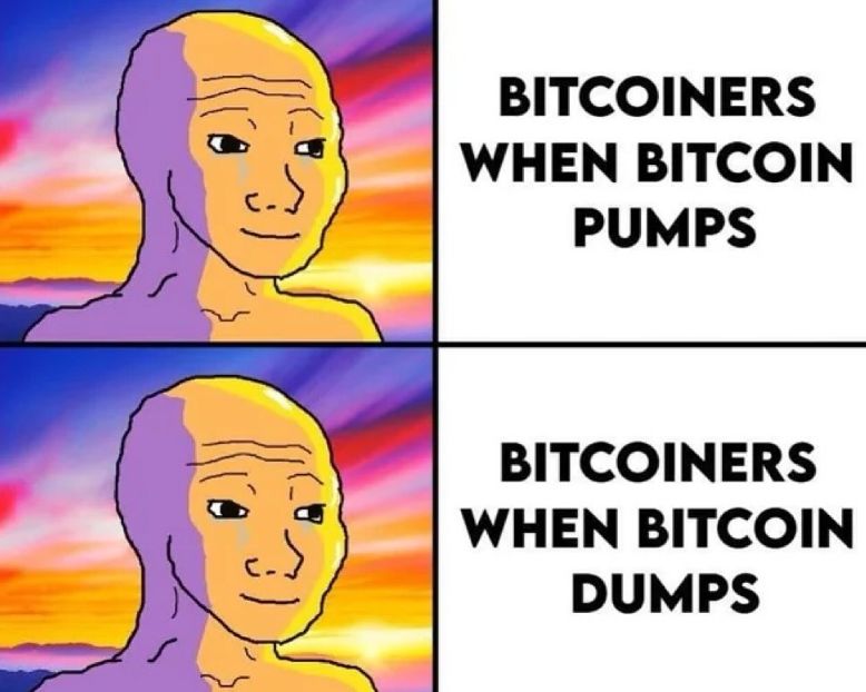 coinpapercom's tweet photo. The emotional range of a #Bitcoiner: https://t.co/EFzm0TFQup