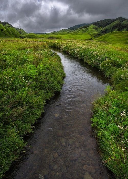 Craftsmangod's tweet photo. Here, even silence seems alive https://t.co/UmuCZsBQGI