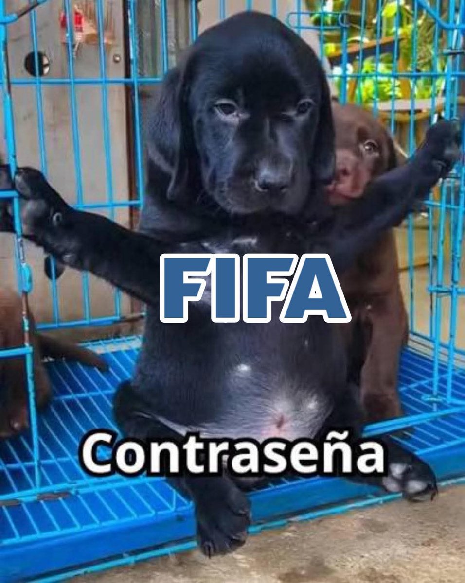 Analistas tweet media