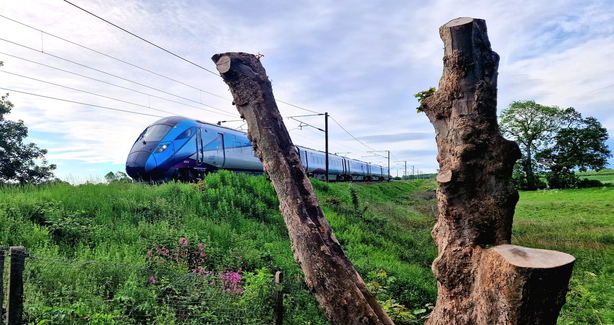 Handy2KnowPete's tweet photo. Good morning @TPExpressTrains 9S07 off to Edinburgh. I wish I was. Nice day for it. Happy hump day folks. ✌🏽😊👍🏼 https://t.co/y0Z0PBMAWu
