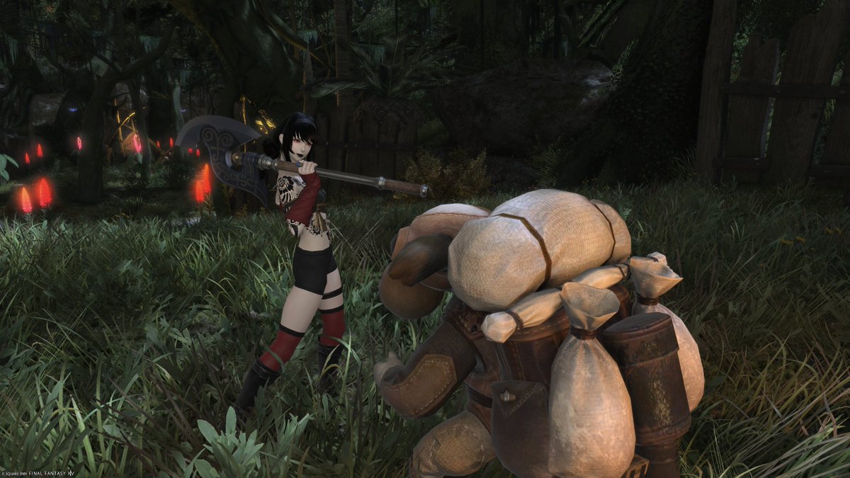 EorzeanRory's tweet photo. Went to the Raincatcher Gully (which was BEAUTIFUL) because Brayflox needed some help at their Longstop. There was some tough fighting in there, but in the end we felled a dragon and put things the way they were at the longstop. Another successful mission in the books! https://t.co/8mGGBTvj0H