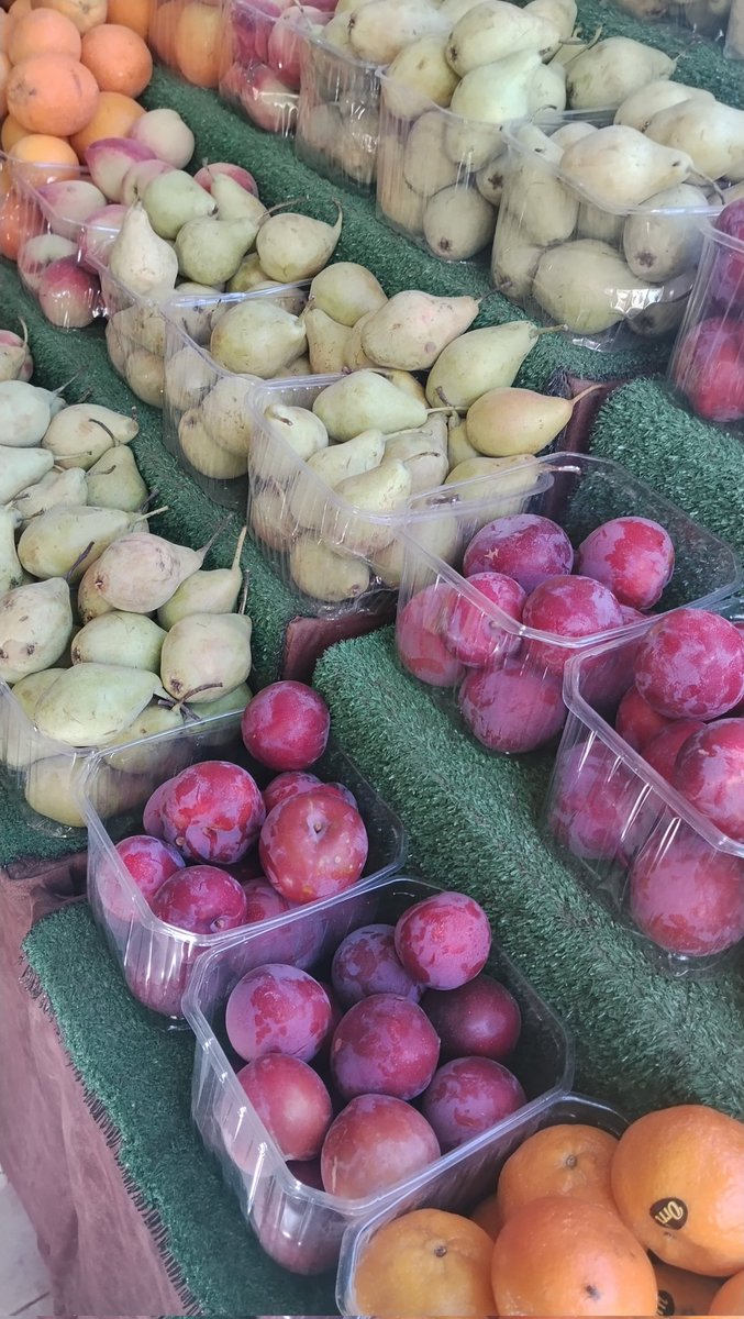 yamen28023's tweet photo. It’s been a long time since we’ve had fresh fruits and vegetables, and I feel that my health and my family’s health are getting worse. I kindly ask kind-hearted people to help us with $100 for basic food. Any support would mean so much to us 🤲💔
https://t.co/3hiJPOVO0L https://t.co/nBjfXtds7K