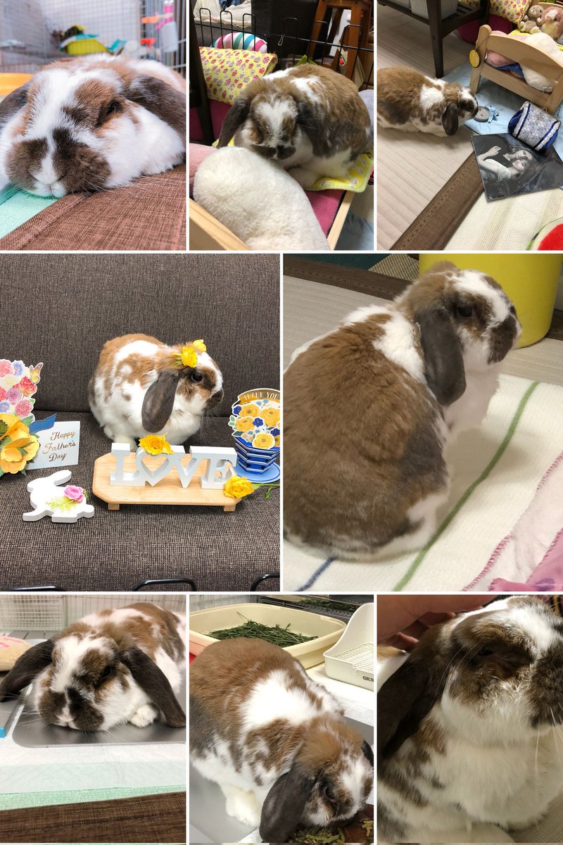 cocothebun1's tweet photo. ❤️❤️❤️ https://t.co/R5tPFp6ndW