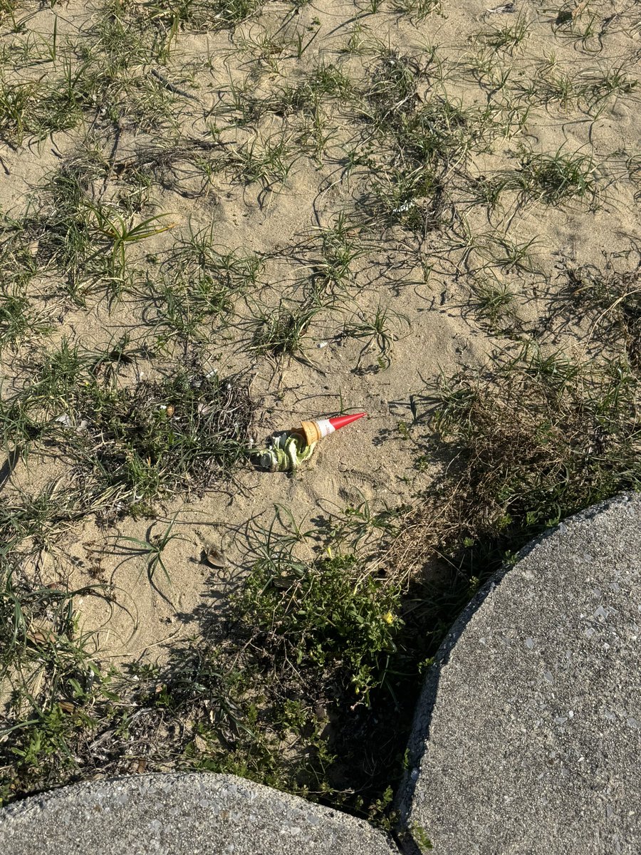 hy1625_'s tweet photo. 篠島旅トンビに襲われてアイス奪われた🍦´т ‧̫ т ̀ https://t.co/yz2VEmx04s