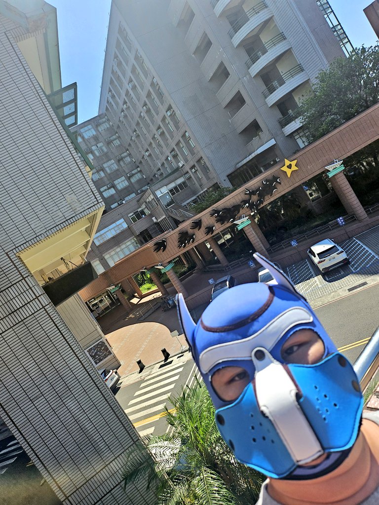 Mapleraining's tweet photo. 大概一年回來兩次的頻率
但太陽TMD可不可以不要這麼大！

（圖一）電子競技與電腦娛樂科學系 系名再取的長一點沒關係啊😤
（圖二）人類性學研究所曾經的社團小寵物回來偷看😊 https://t.co/iohcXGkFGW