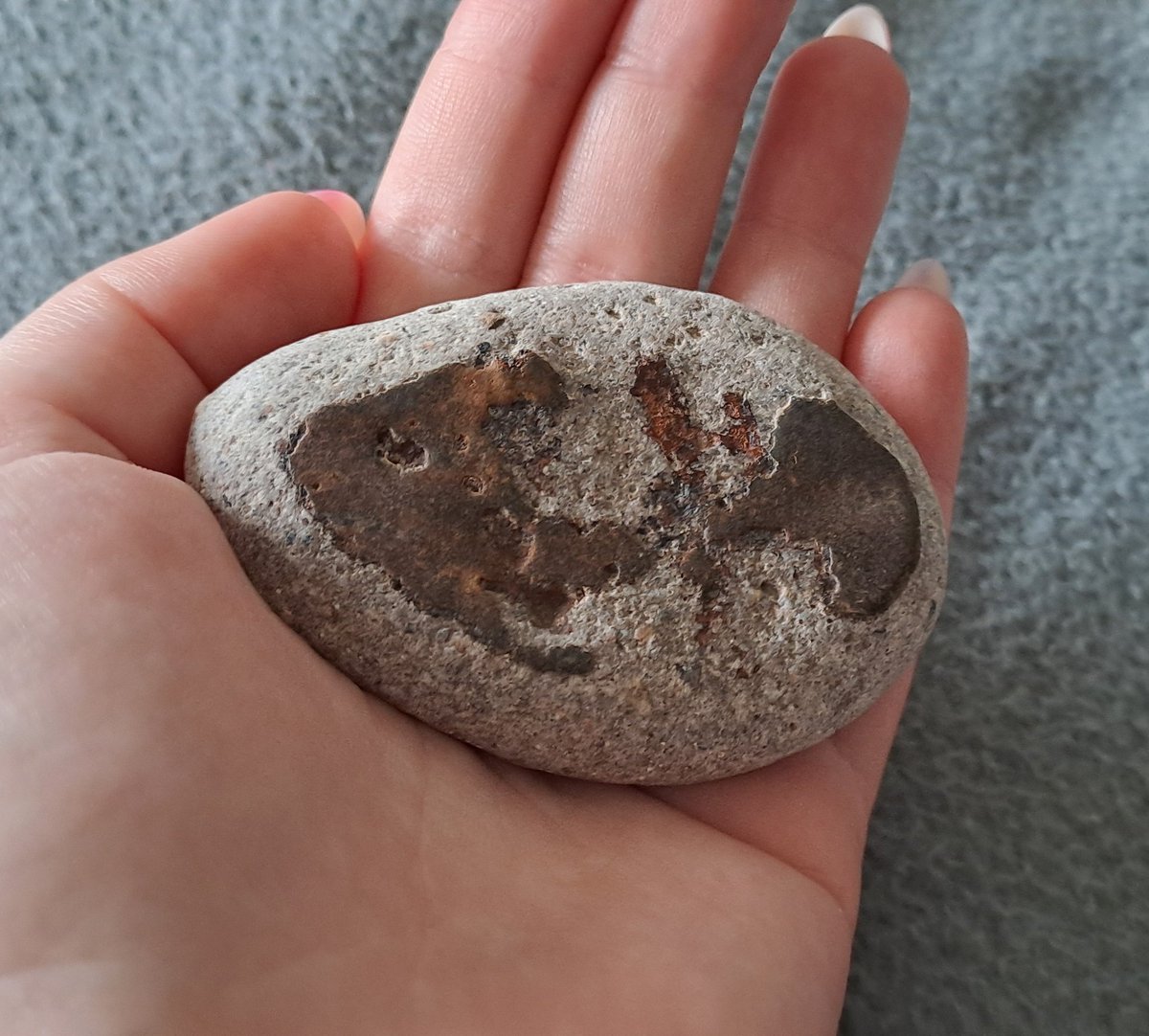funfa1rr's tweet photo. Went on a trip today and found this cool rock with a print resembling a fish skeleton https://t.co/krjsMuADhD