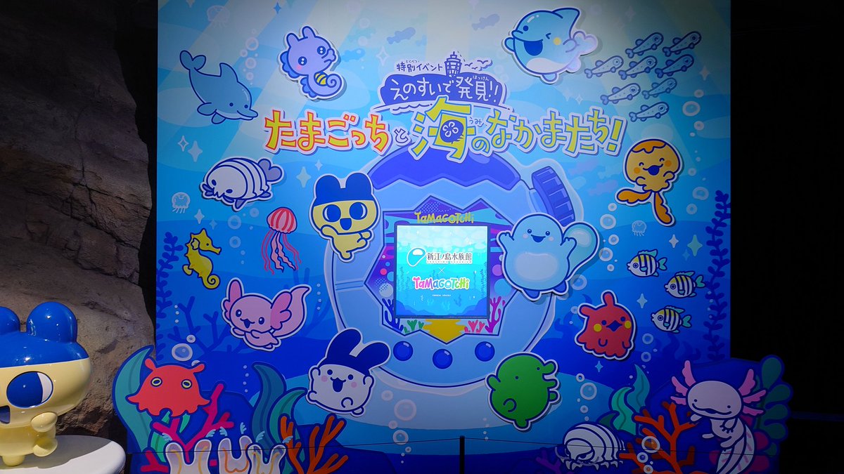 NoirYuka's tweet photo. 昨日の江の島水族館（えのすい）

幼稚園の遠足とか、親子連れとか、
台風の前なのに（前だから？）たくさんの人が遊びに来ていました
たまごっちのイベント可愛かったです🩷
パスポートがあるから、また行こ♬ https://t.co/pHKMVarEiW