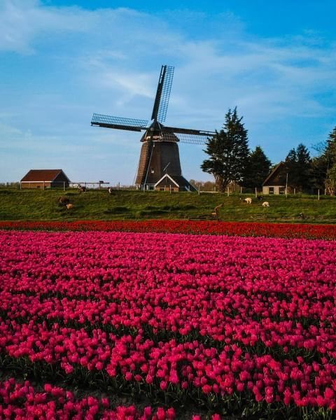 ikgeefnooitop's tweet photo. Goedemorgen, een fijne dag allemaal 😘 https://t.co/c0ja3bfONU