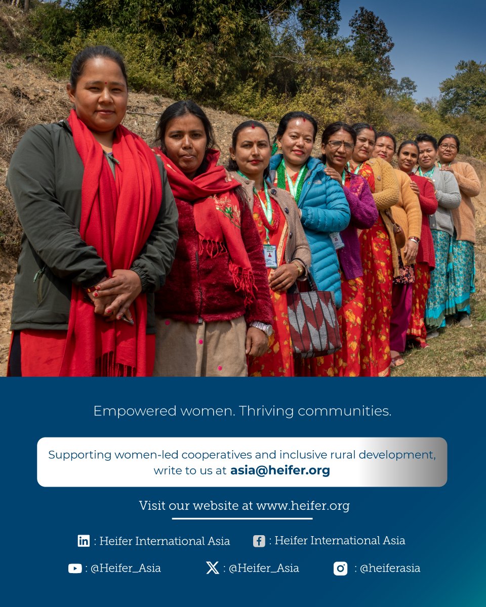 heifer_asia tweet picture