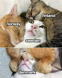 PeterCollen_'s tweet photo. @WholesomeMeme Poor Denmark always forgotten; https://t.co/hA6c4bfNq5