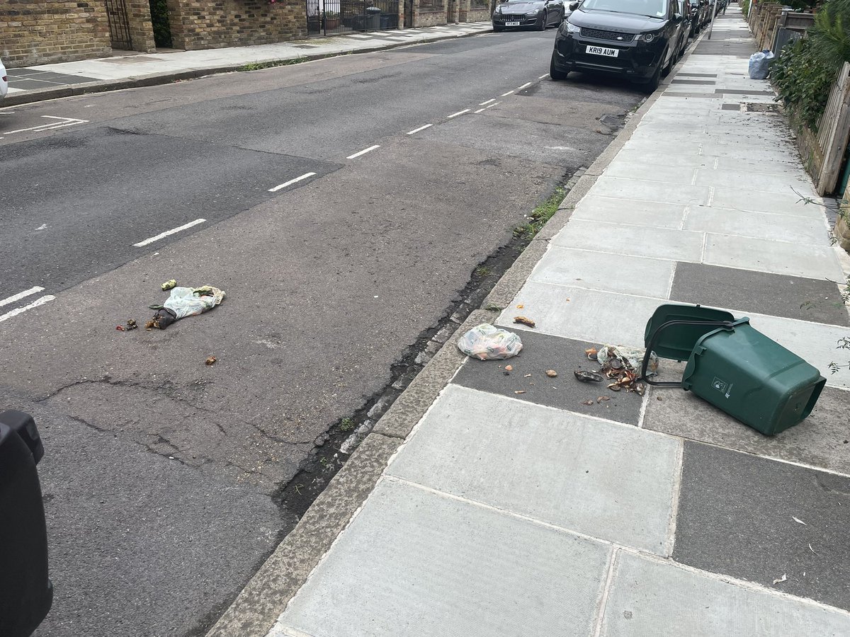 blightybibi's tweet photo. @LBRUT this is what happens when we get a double missed collection despite raising two complaints! Who is going to clear the mess? https://t.co/kv1WR01xIO