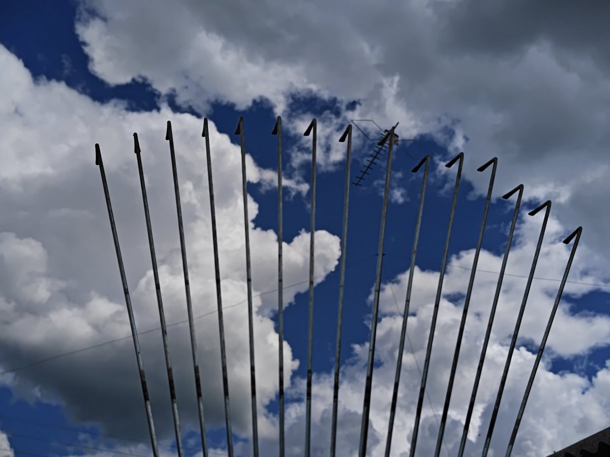 illyselo's tweet photo. it's my lucky day if i match this rake with antenna... NNK! https://t.co/txMFcwSVR0