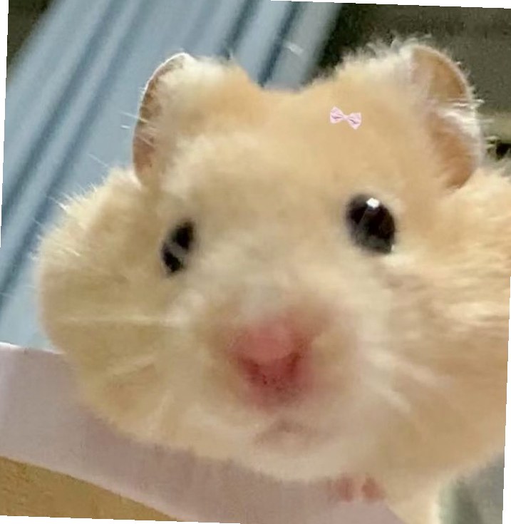 BGuler71's tweet photo. 歯医者の予約をまた忘れてしまいそうで焦るけど、今日はリマインダー設定だけじゃなくカレンダーにも固定で入れておくべきだなと反省してるだけの些細な独り言 https://t.co/4HcgR72uHK