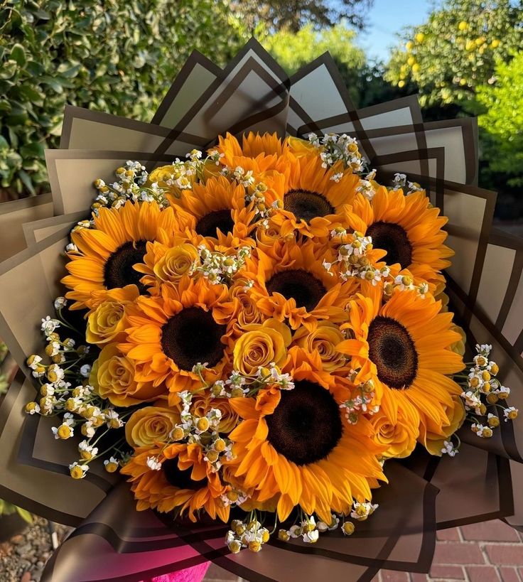softpetalview's tweet photo. https://t.co/aABFJhOedy